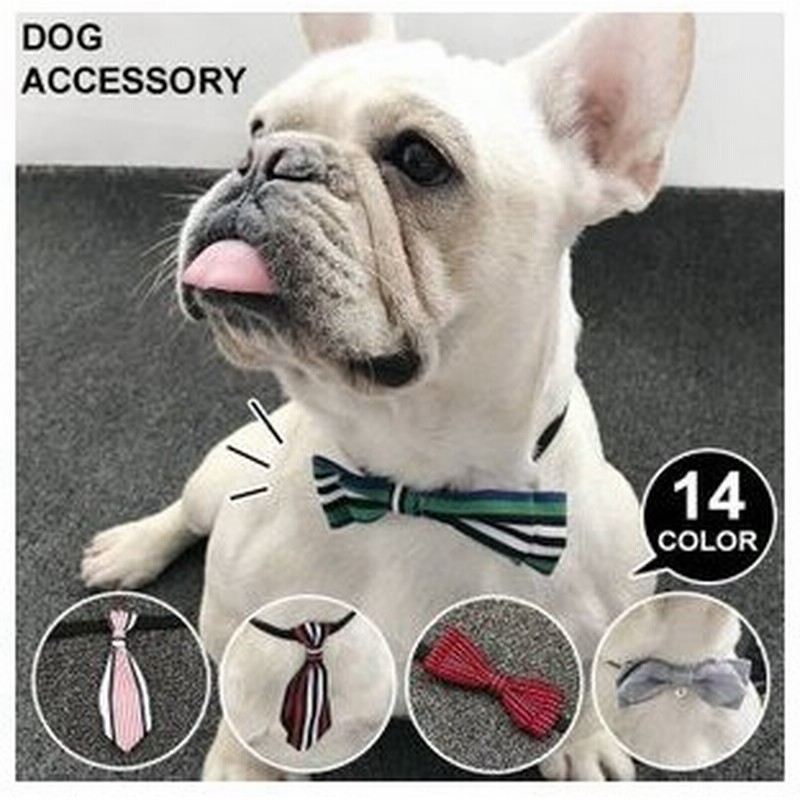 ドッグ 犬用 アクセサリー 蝶ネクタイ ネクタイ リボン 首輪 犬猫 アニマル コスプレ 動物 わんちゃん わんこ ネコポス 通販 Lineポイント最大0 5 Get Lineショッピング