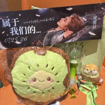 🎈最新款🎈侯明昊成都演唱會伴手禮 官方正品 手幅 獼猴桃抱枕 掛件 正品