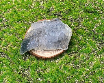 招財避邪-天然原礦漸層異象水晶礦石 辦公室 療癒 招財擺件