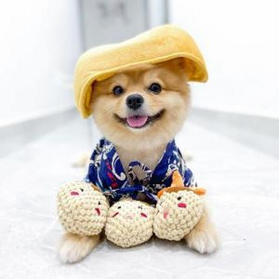 Hugsmart たこ焼き 犬用おもちゃ 通販 Lineポイント最大1 0 Get Lineショッピング