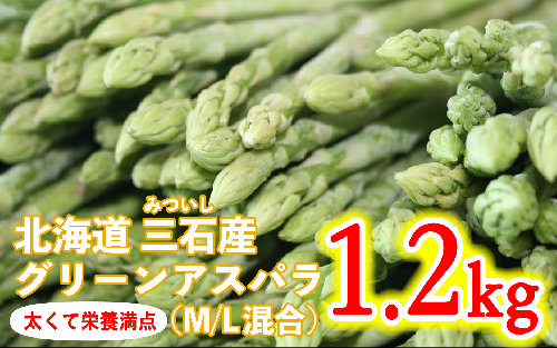 ＜ 2024年 4月 上旬から発送 ＞ 北海道産 グリーンアスパラ M   L 混合 1.2kg ＜予約商品＞