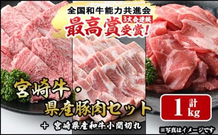 宮崎牛と県産豚肉セット（合計:1kg）宮崎牛肩ロース焼肉(300g)県産豚バラ焼肉(500g)宮崎県産和牛小間切れ(100g×2)