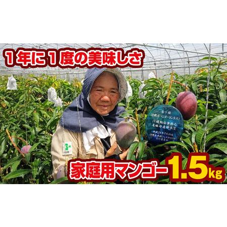 ふるさと納税 芳醇な香り　とろける食感　家庭用マンゴー1.5kg 沖縄県南風原町