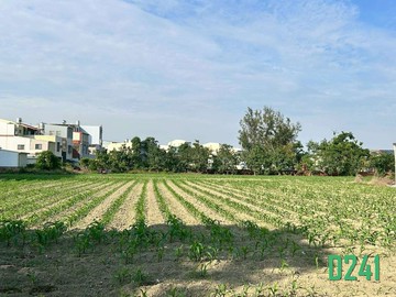 【鹽水715福吉8米路豪宅建地】｜台南市鹽水區歡雅段