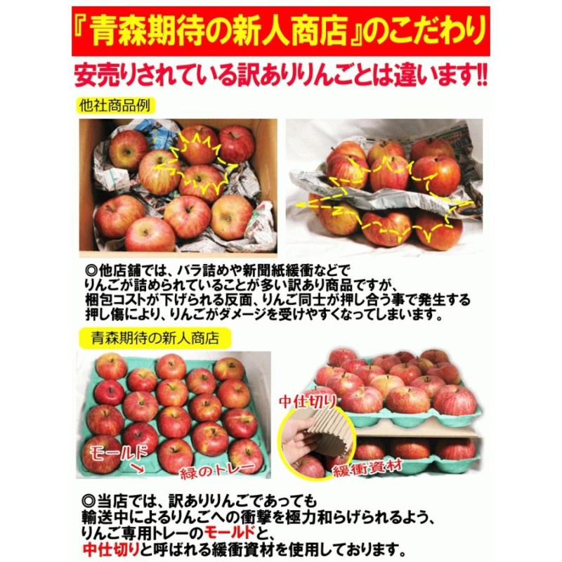 出荷中】青森 りんご 10kg箱 ぐんま名月【送料無料】 家庭用/訳あり