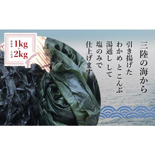 ふるさと納税 宮城県 石巻市 三陸産わかめ1kg・こんぶ2kg（塩蔵）