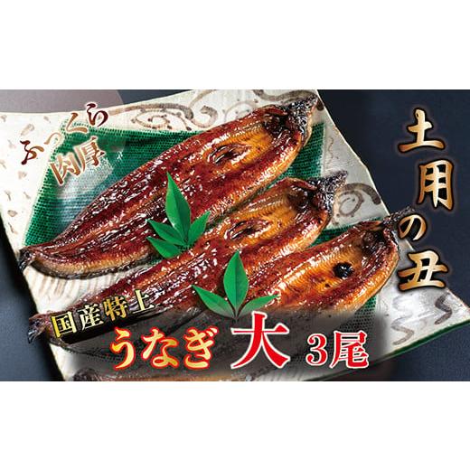 ふるさと納税 福井県 越前市 国産！特上うなぎのかば焼き 約200g × 3尾