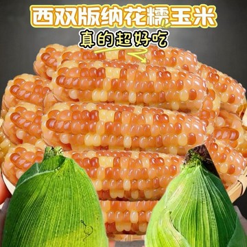 黃金甜糯玉米｜小玉米真空包裝 香甜軟糯 粗糧輕食 隨時享用