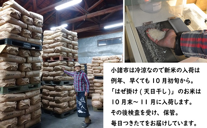 小諸市産マイスターブレンド米 10kg