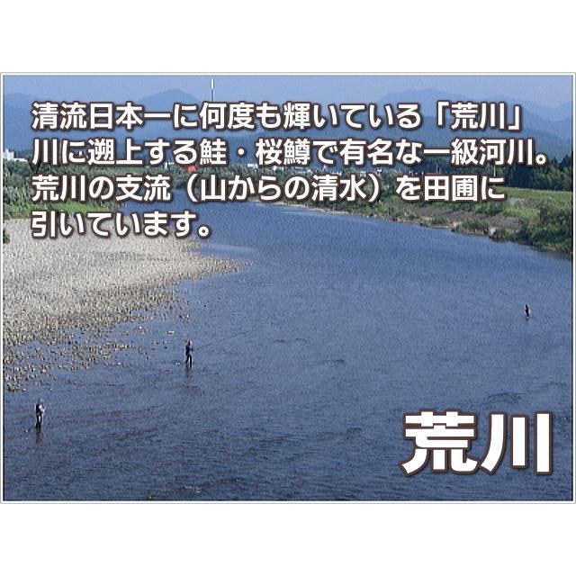 玄米 農薬無使用 コシヒカリ 2kg   希少米 合鴨農法 新潟 岩船産 令和5年産 新米   人気 おいしい 新潟米 こしひかり 送料無料