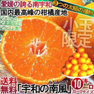 宇和の南風 みかん 極早生・温州品種 約10kg 3S～Sサイズ 愛媛県産 小玉限定 JAえひめ南にて厳選！えひめが誇る旬の味