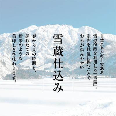 ふるさと納税 南魚沼市 南魚沼産コシヒカリ無洗米 2kg 全12回