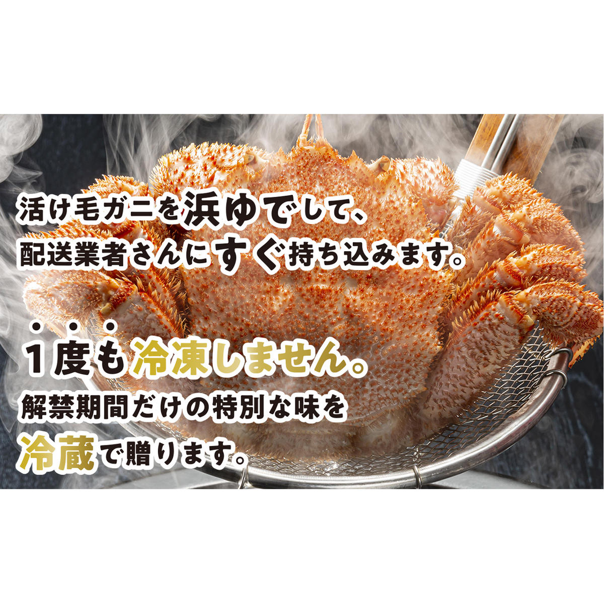 ＜2024年1月から順次発送＞ 北海道産 かに 浜ゆで 毛がに 3尾 計 900g 以上 ＜予約商品 ＞ 毛蟹 毛ガニ 北海道 冷蔵 毛蟹 毛ガニ けがに かに 蟹 カニ かに味噌 カニ味噌 新鮮 旬