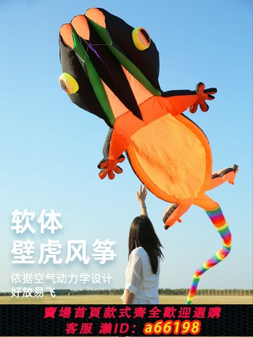 【台灣公司 可開發票】壁虎風箏大人專用2025年新款軟體立體平穩好飛超大型高檔成人風箏