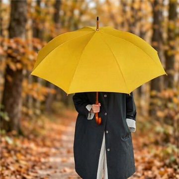 男女木中棒木彎柄長柄晴雨傘自動雨傘學生傘廣告傘禮品傘印制logo