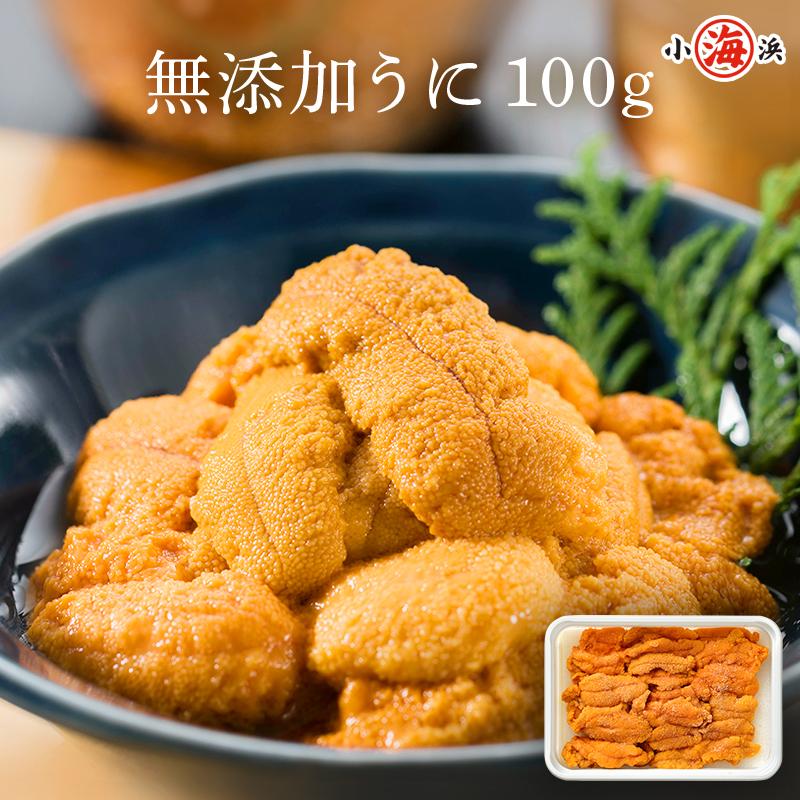 ウニ うに 100g×1パック 生うに 無添加 雲丹 海鮮 チリ チリ産 高級食材 おすすめ食品