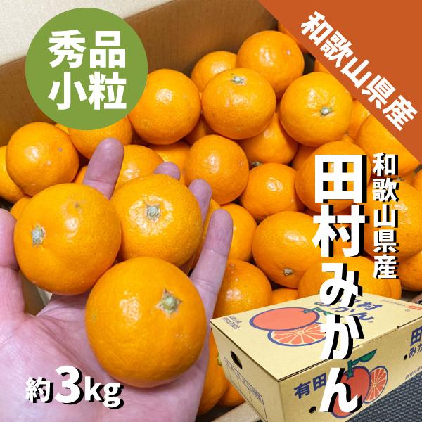 和歌山県産 田村みかん 3kg SSサイズ 秀品 小粒みかん ミカン 贈答用 ギフト お歳暮　有田産