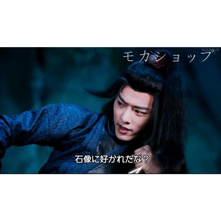 陳情令 DVD 50集 日本語字幕増収ost 肖戰 王一博