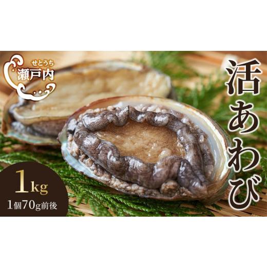 ふるさと納税 香川県 坂出市 瀬戸内あわび（活）1kg（1個70ｇ前後）