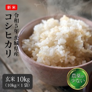 玄米 10kg コシヒカリ 送料無料 米 お米 茨城県産 令和5年 新米 農薬が少ないお米 （北海道・九州 300円）離島不可