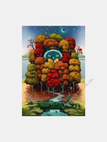 和基霍去旅行！/Take a Trip!/Andy Kehoe/500片/HEYE