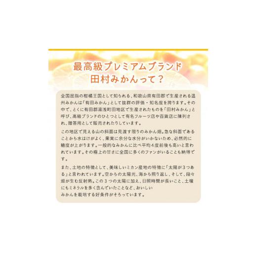 ふるさと納税 和歌山県 湯浅町 AB7069_絶品！ 田村みかん 10kg (S・M・Lサイズのいずれか)