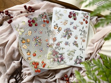 秋果圖鑑 割型貼紙包 / 植物貼紙 果實貼紙 手帳貼紙