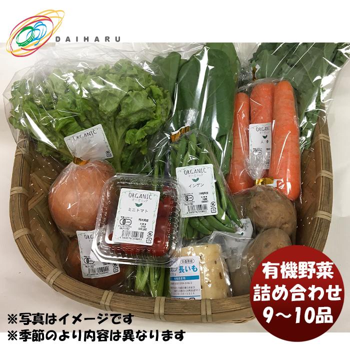 大田市場直送 　有機野菜詰め合わせ 9〜10品 　季節野菜　 (株)大治　ギフト包装・のし不可