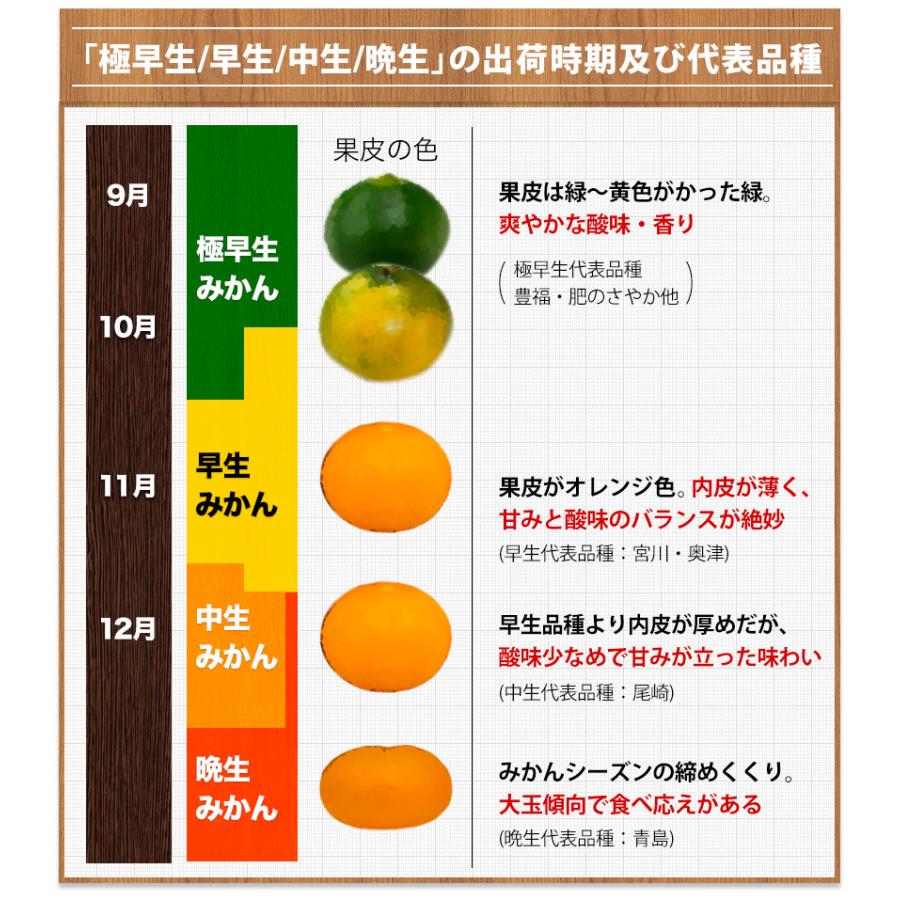 みかん 訳あり 送料無料 2セット購入で1セットおまけ 1セット1.5kg入 お取り寄せフルーツ 柑橘類 ミカン わけあり 九州産 7-14営業日以内に出荷予定