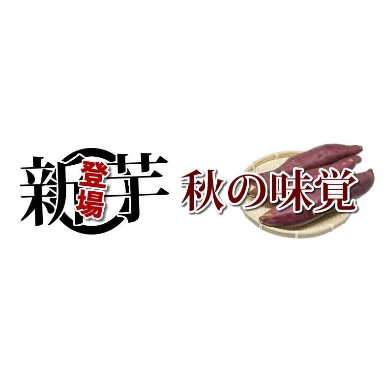 さつまいも 紅はるか 送料無料 4.5kg 熊本県産 べにはるか サツマイモ 紅蜜芋 焼き芋 芋 いも