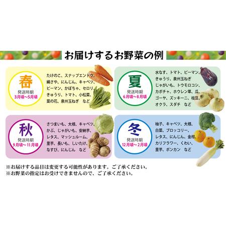 ふるさと納税 旬の野菜セット 詰め合わせ 7種類以上 国産 新鮮 お試し おまかせ お楽しみ 大阪府泉佐野市