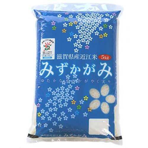 みずかがみ 白米 白米5kg 令和4年 精米済み 滋賀県産 環境こだわり米 減農薬