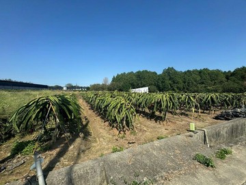 名間新街國小旁1.1分合法農舍農地｜南投縣名間鄉新北段