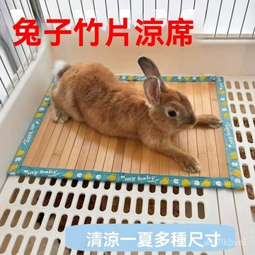🔥清涼一夏🔥寵物涼席 寵物冰墊 竹編涼席 冰墊 貓狗冰墊 小寵冰墊 貓涼席 狗涼席 倉鼠冰墊兔子涼席墊夏天降溫消暑可拆洗