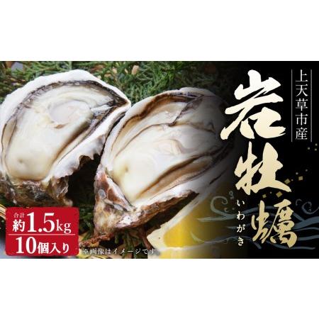 ふるさと納税 岩ガキ 合計約1.5kg（約150g×10個）加熱用 冷蔵 岩牡蠣 熊本県上天草市