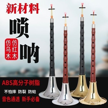 🔥桃園有貨🔥初學學生嗩吶大小號全套D調d專業入門民族樂器黑檀木烏木紅木成人 31WL SBCF 6LL2