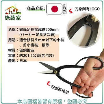 銀峰足長盆栽鋏200mm(????足長盆栽鋏)(日本進口)切芽 剪葉 採果 【綠藝家】