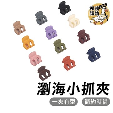 造型小髮夾 側邊髮夾 抓夾 劉海碎髮夾 小夾子 小爪夾 髮夾 瀏海夾 高馬尾夾 抓夾 髮飾 綁髮 綁頭髮 鯊魚夾 公主頭