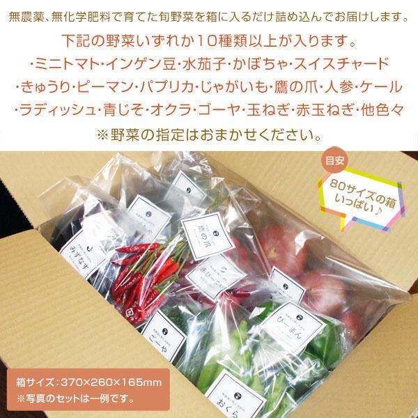 おまかせ 無農薬 旬野菜セット10種類以上と手づくり塩麹［送料無料］■期日指定不可・翌日受取限定 ※時間指定にご注意ください■