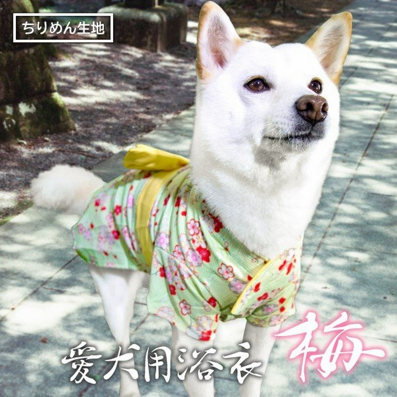 アウトレット Off 犬服 浴衣 豆柴 柴犬 中型犬 着物 お祭り 夏 女の子 かわいい 愛犬用浴衣 梅 通販 Lineポイント最大get Lineショッピング