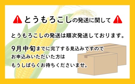 2024年夏発送 キリン一番搾り 500ｍl 12缶＆白いとうもろこしピュアホワイト14本