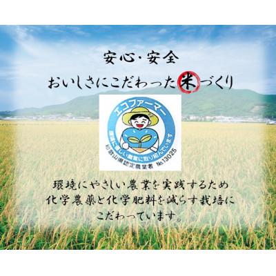 ふるさと納税 日高町 きぬひかり　新米　2kg(令和5年10月〜発送)