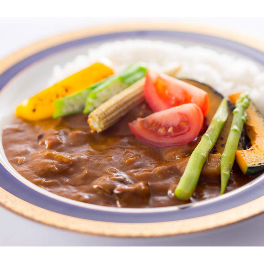 健康カレー お試しセット D 減塩ビーフカレー カレー 惣菜 無添加 レトルトカレー 牛肉 簡単調理 減塩 ヘルシー ポスト投函便