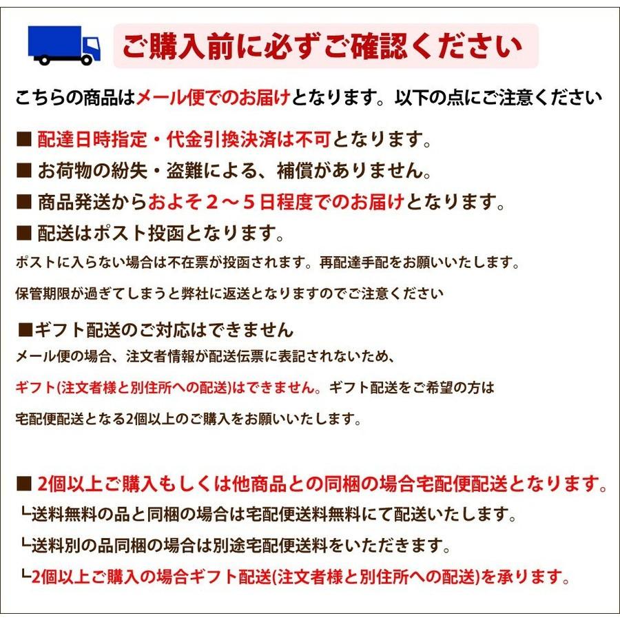 送料無料 本なま麺　ほうとう　特製カレースープ　3食セット