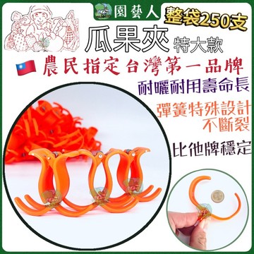 🌿園藝人🌿瓜果夾 (特大)整包250支【加厚／抗氧化】花梗夾 嫁接夾 番茄夾 南瓜夾 果梗夾 蘭花夾 藤蔓夾