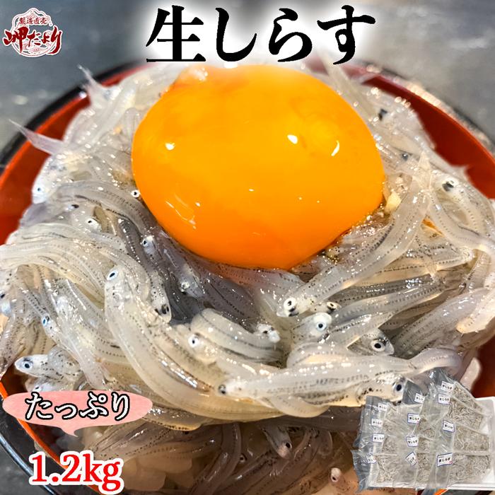 (送料無料) 生しらす (ちりめん) 冷凍１.２kg（１００g×１２袋） (愛知県産)