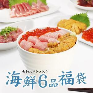 ふるさと納税 豪華海鮮6品福袋　本マグロ大トロ＆中トロ、ウニ、イクラ、ネギトロ、づけ！海鮮丼や手巻き寿しに 福島県いわき市