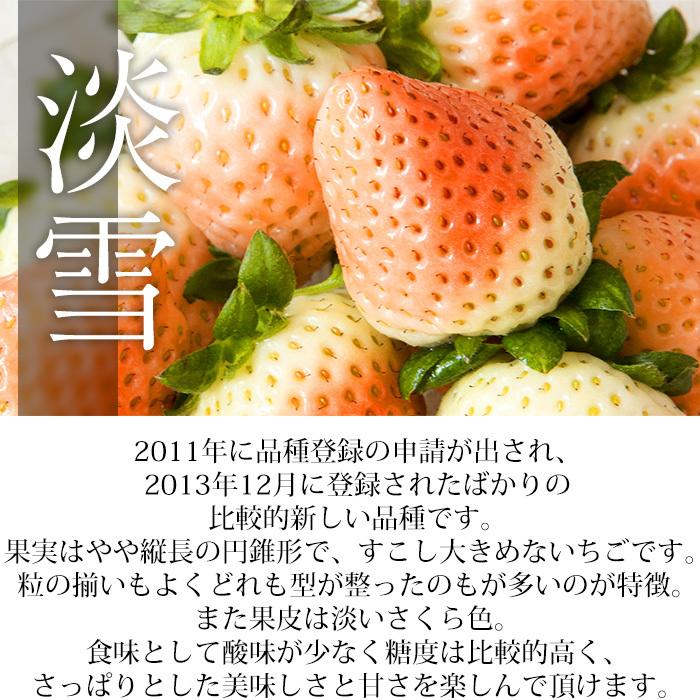 いちご 奈良県産 三色いちご（パールホワイト・淡雪・古都華） 約250g×2パック