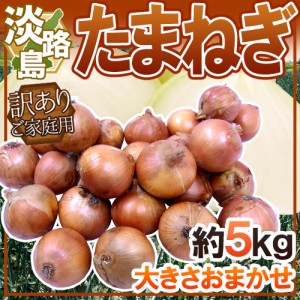 兵庫県 淡路島産 ”たまねぎ” 訳あり 約5kg 送料無料