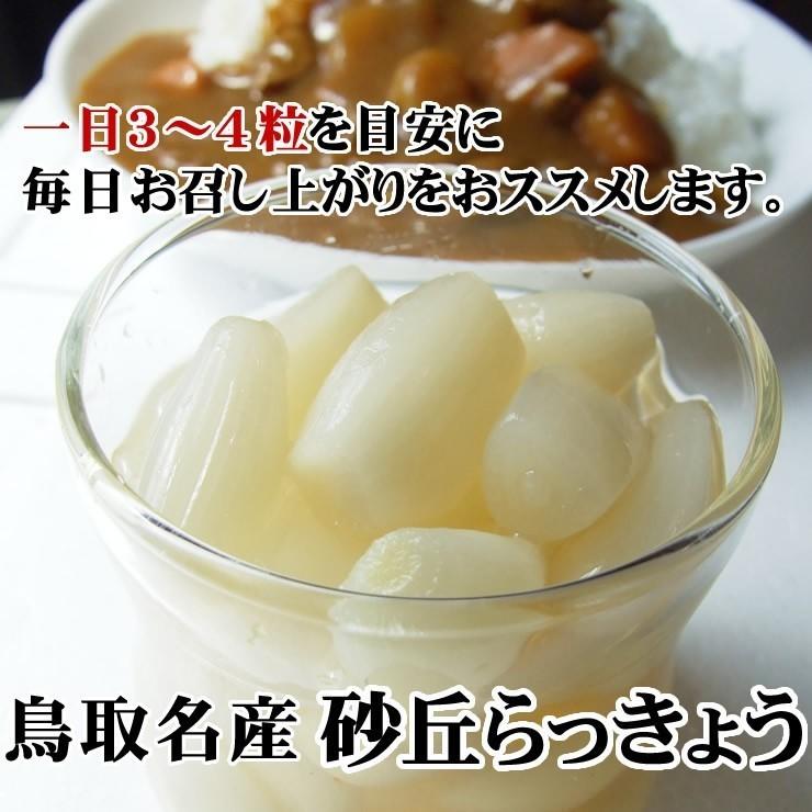 送料無料 砂丘らっきょう 二十世紀梨酢漬け 1ｋｇ らっきょう漬け同士は同梱可能 鳥取県福部町産ラッキョウ 常温